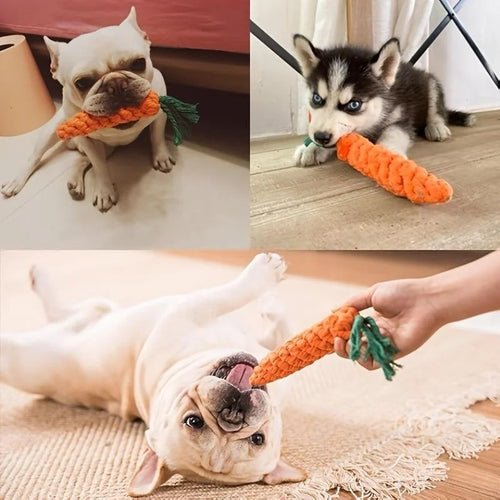 PawMotion Carrot Rope Chew Toy