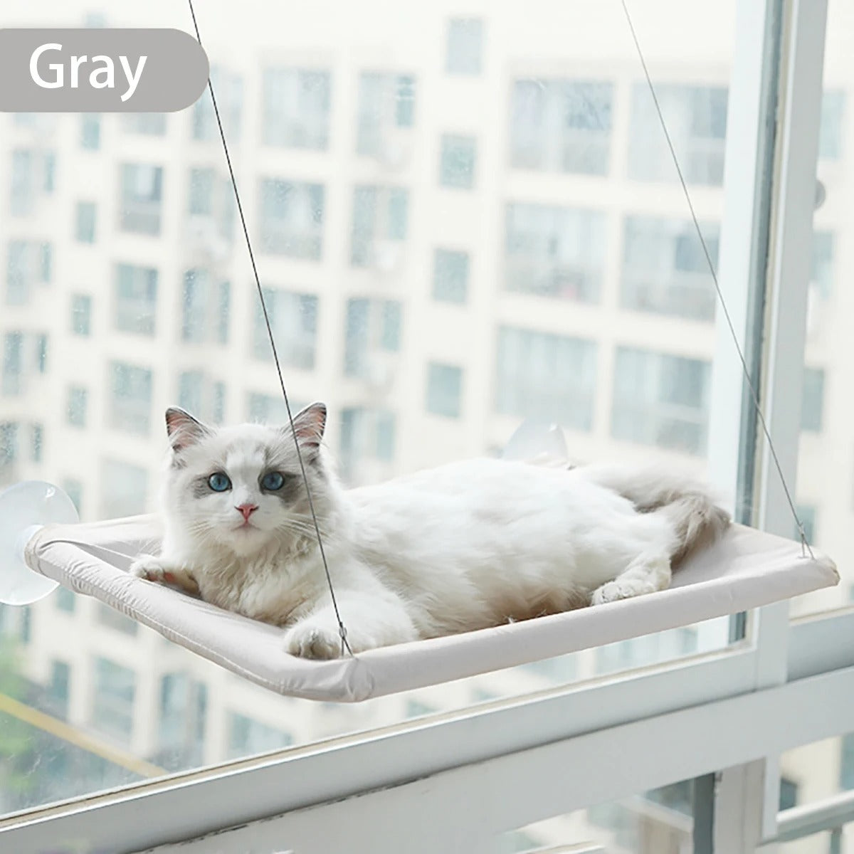 PawMotion Cat Window Hammock