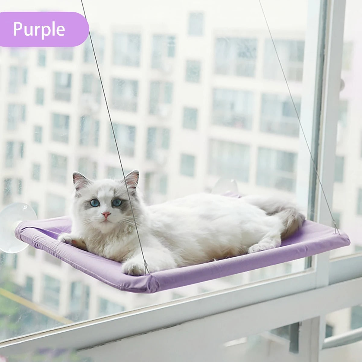 PawMotion Cat Window Hammock