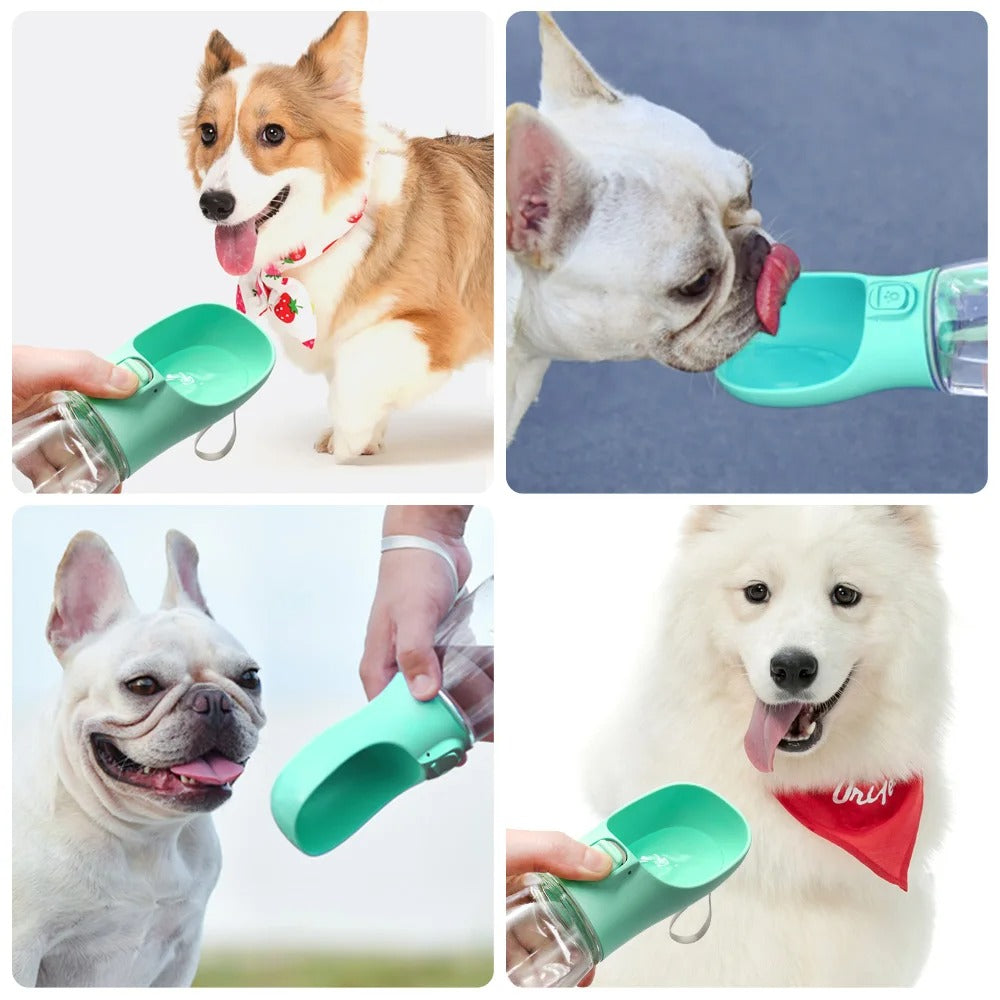 PawMotion Portable Dog Water Bottle