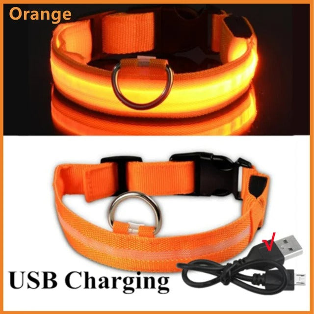 PawMotion LED Dog Collar