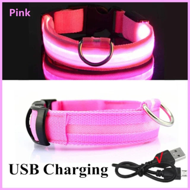 PawMotion LED Dog Collar