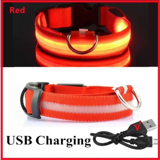 PawMotion LED Dog Collar