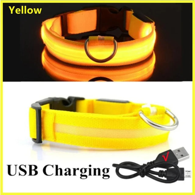 PawMotion LED Dog Collar