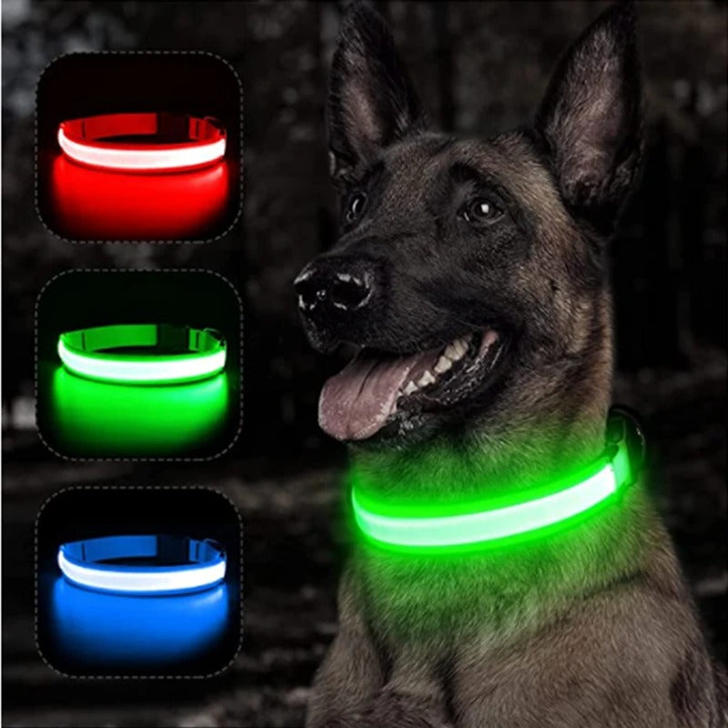 PawMotion LED Dog Collar