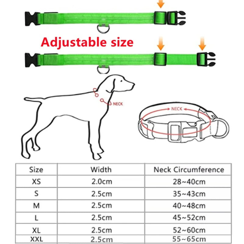PawMotion LED Dog Collar