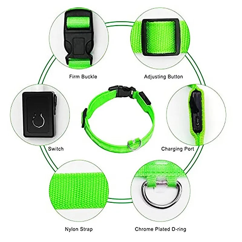 PawMotion LED Dog Collar