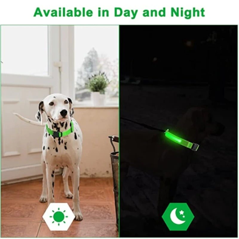 PawMotion LED Dog Collar