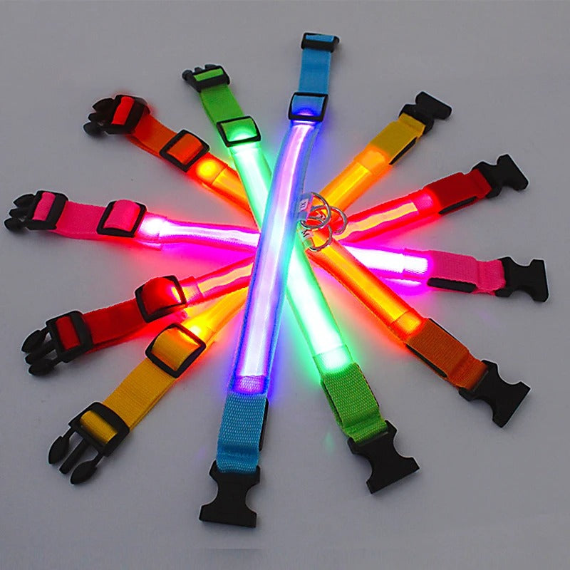 PawMotion LED Dog Collar