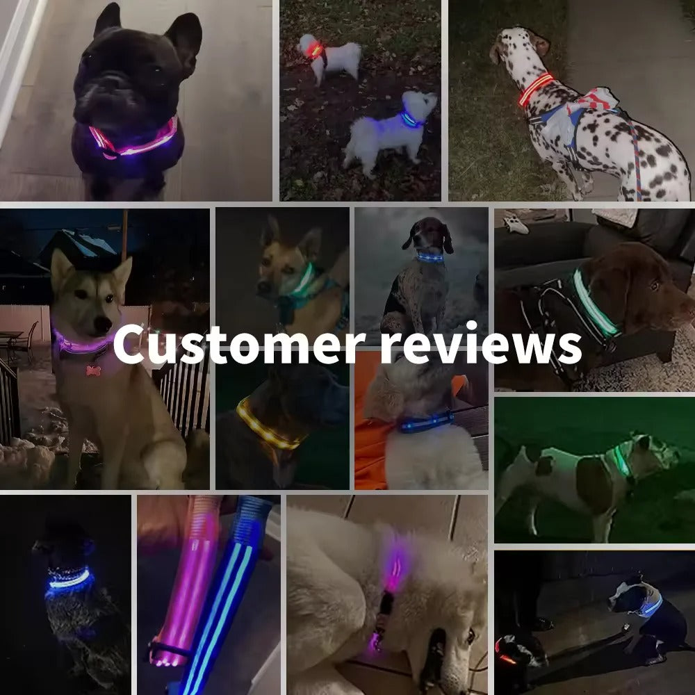 PawMotion LED Dog Collar