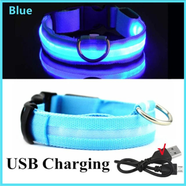 PawMotion LED Dog Collar