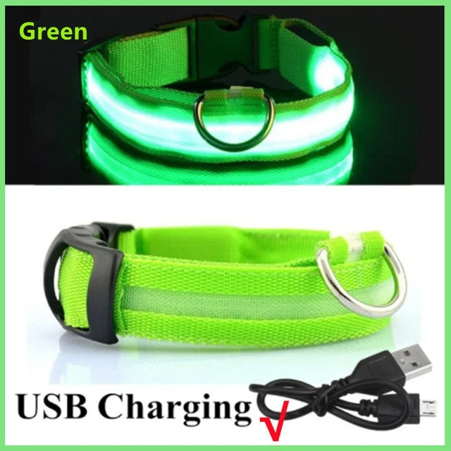 PawMotion LED Dog Collar