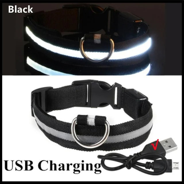 PawMotion LED Dog Collar