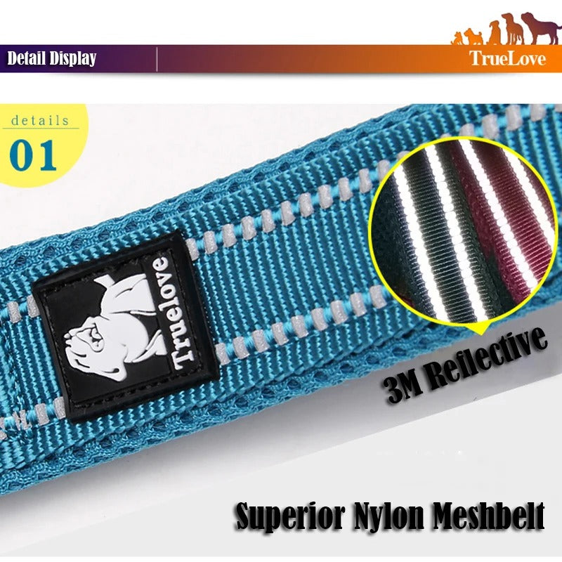 PawMotion Reflective Dog Leash