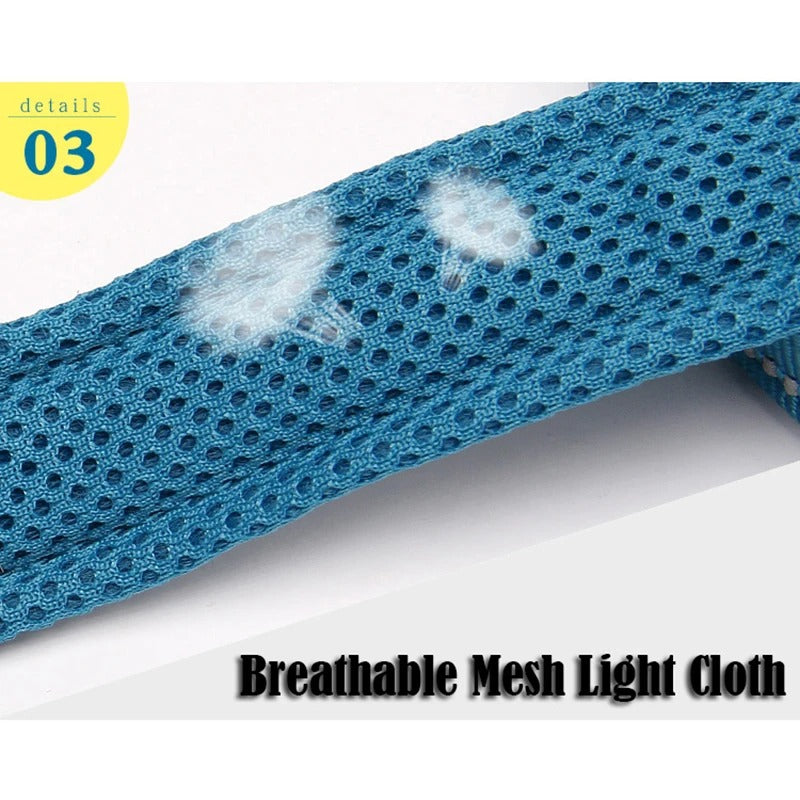 PawMotion Reflective Dog Leash