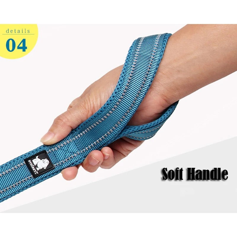 PawMotion Reflective Dog Leash