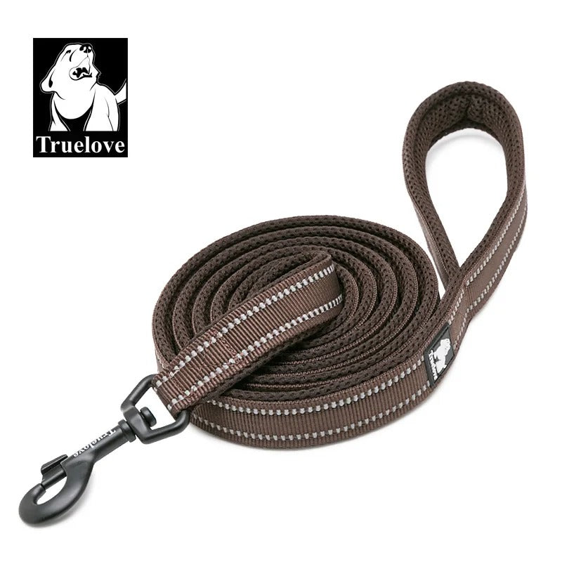 PawMotion Reflective Dog Leash