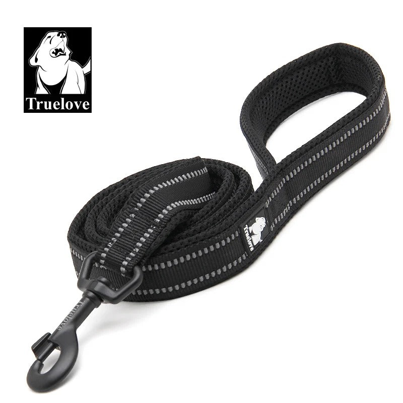 PawMotion Reflective Dog Leash