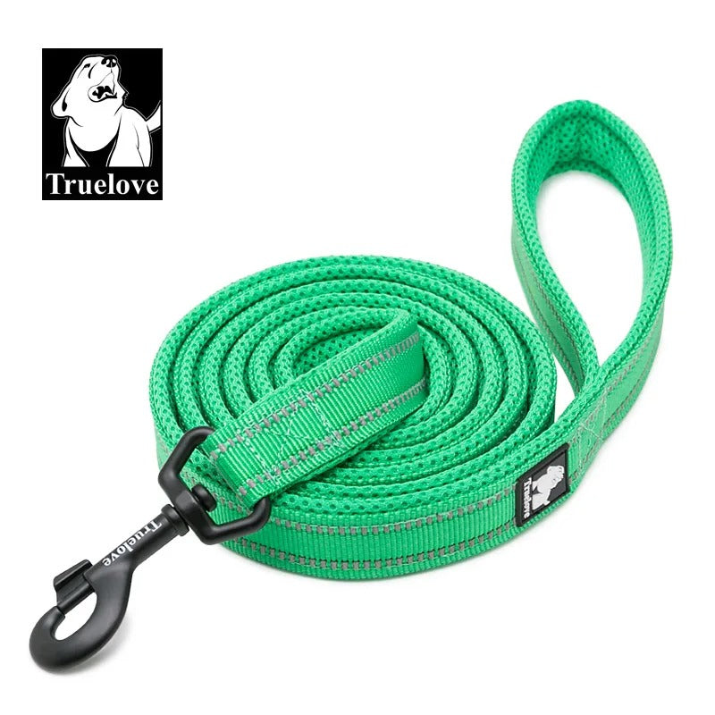 PawMotion Reflective Dog Leash