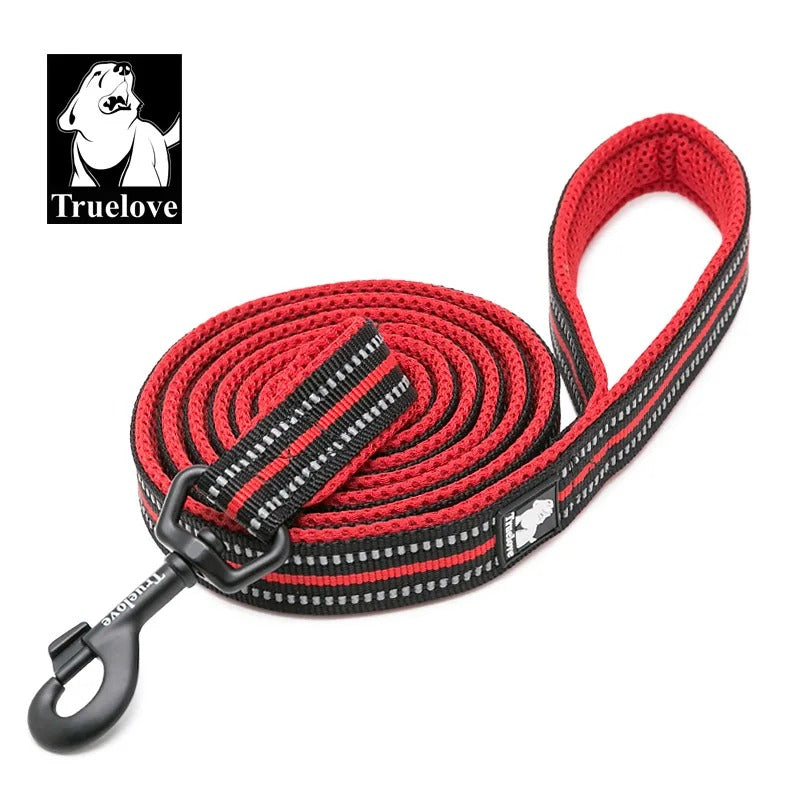 PawMotion Reflective Dog Leash