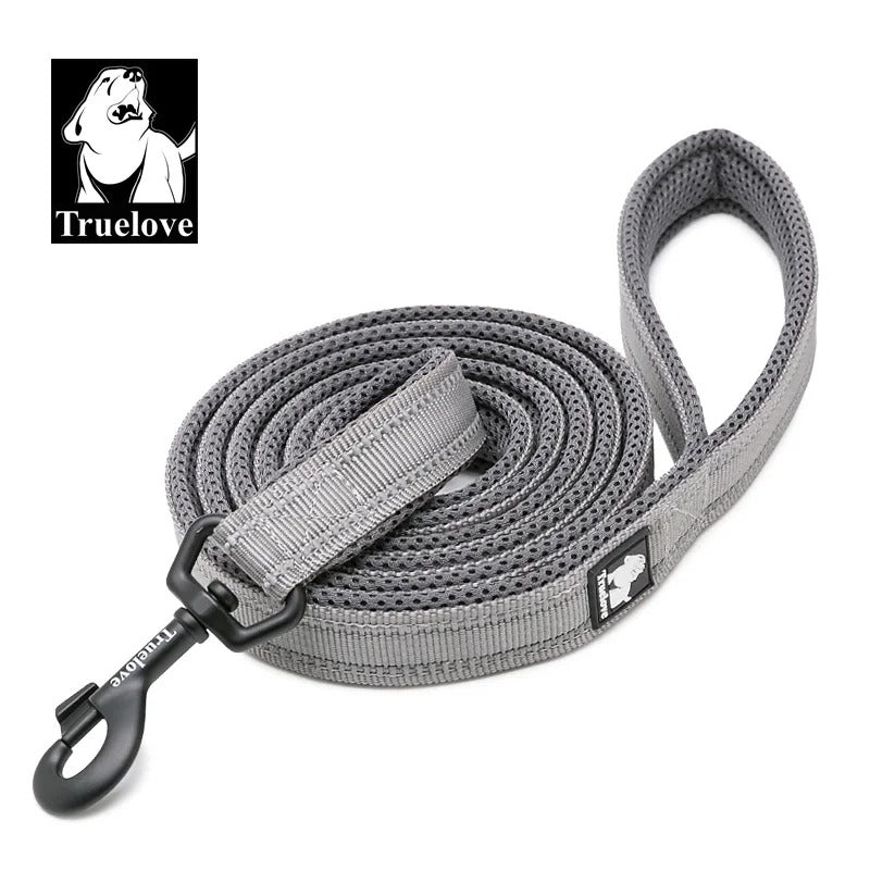 PawMotion Reflective Dog Leash