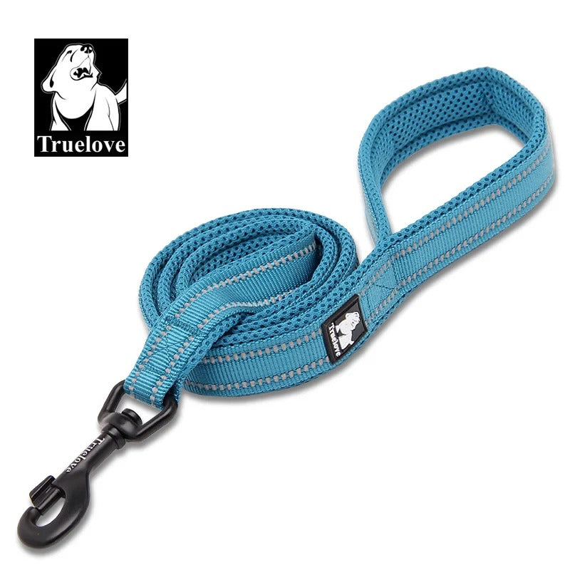 PawMotion Reflective Dog Leash