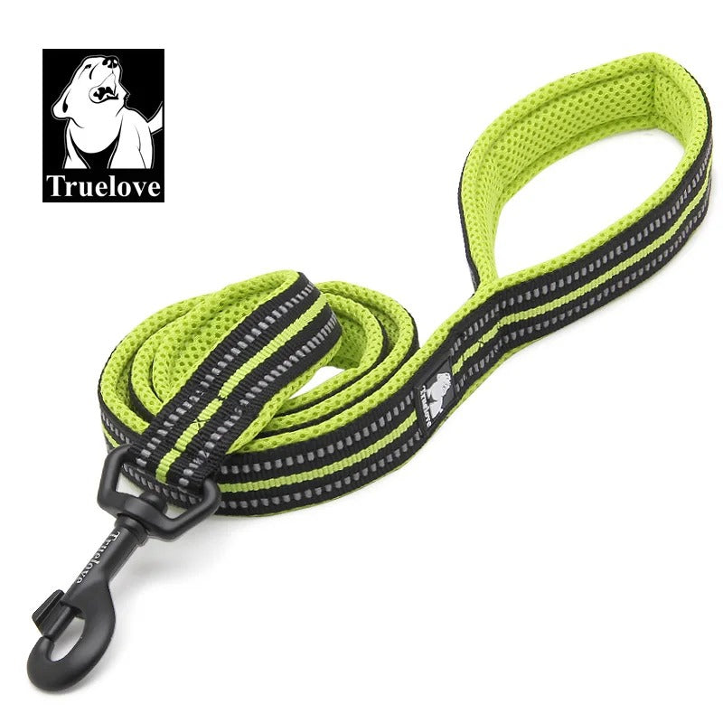 PawMotion Reflective Dog Leash