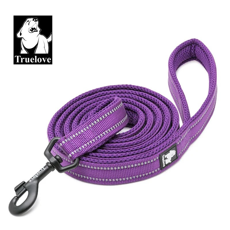 PawMotion Reflective Dog Leash