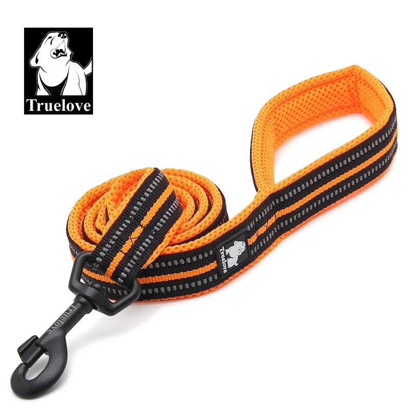 PawMotion Reflective Dog Leash