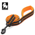 PawMotion Reflective Dog Leash