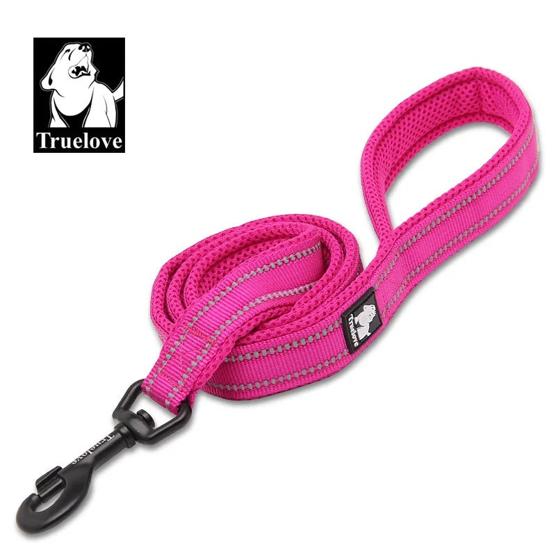 PawMotion Reflective Dog Leash
