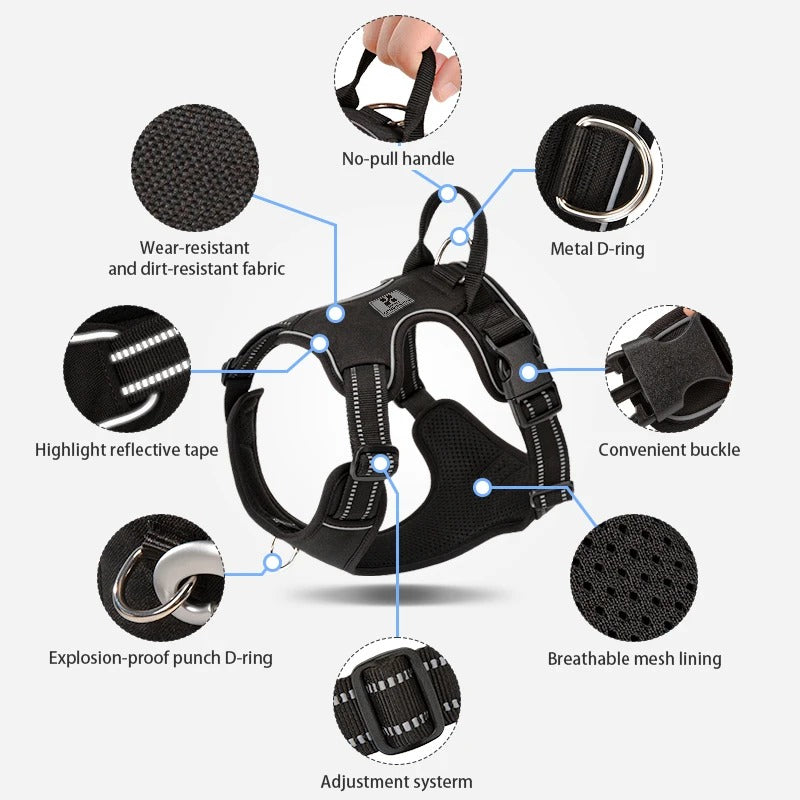 PawMotion No Pull Dog Harness
