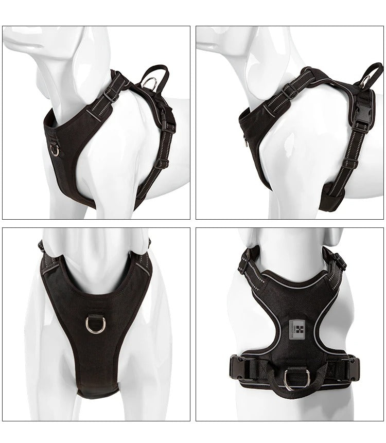 PawMotion No Pull Dog Harness