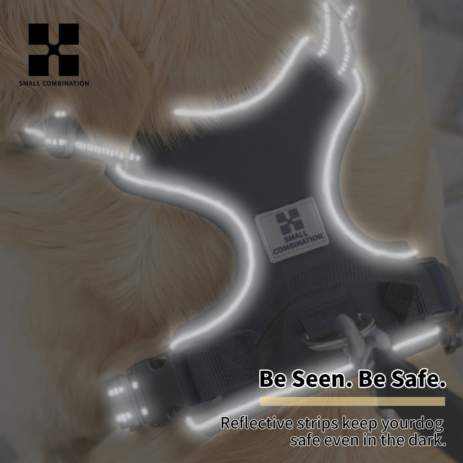 PawMotion No Pull Dog Harness