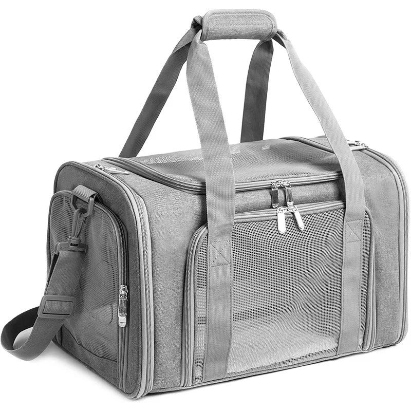 PawMotion Pet Travel Carrier