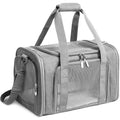 PawMotion Pet Travel Carrier