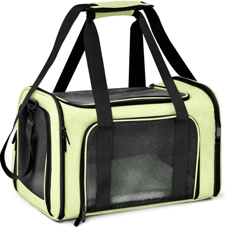 PawMotion Pet Travel Carrier