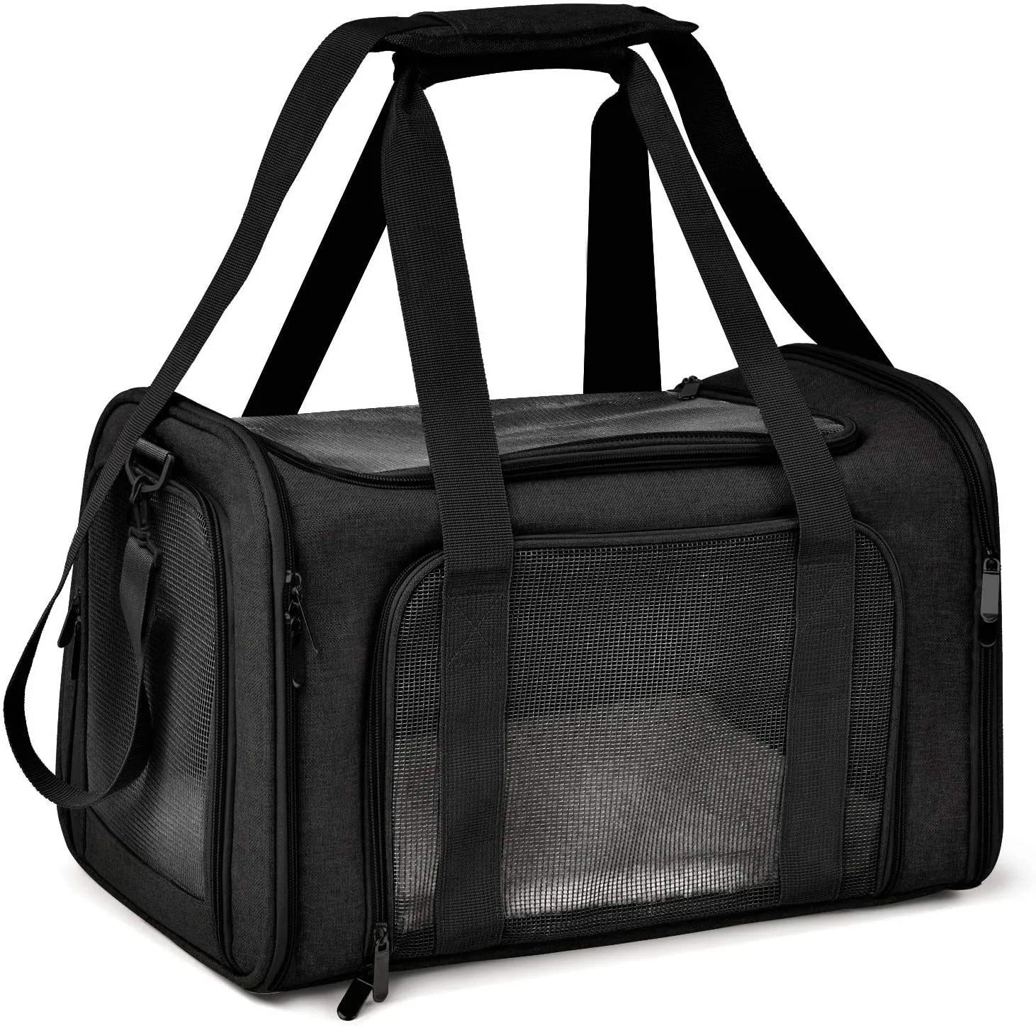 PawMotion Pet Travel Carrier