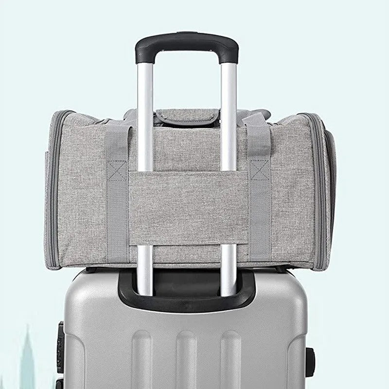 PawMotion Pet Travel Carrier