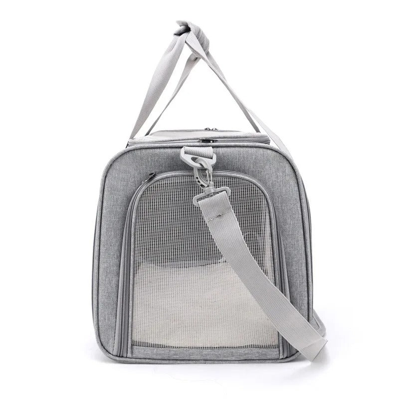 PawMotion Pet Travel Carrier