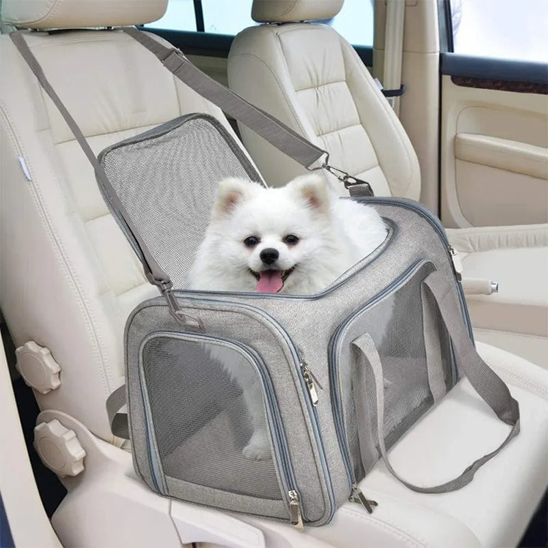 PawMotion Pet Travel Carrier