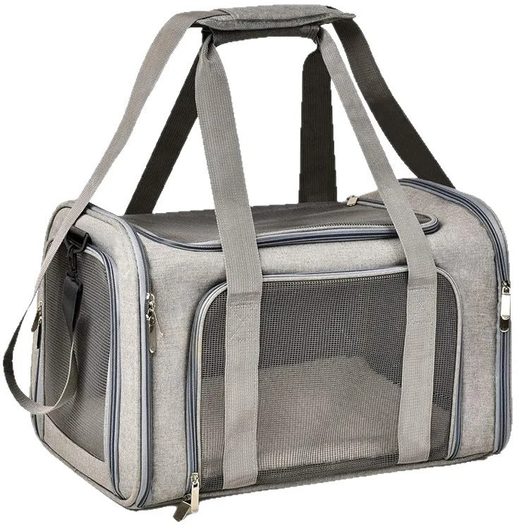PawMotion Pet Travel Carrier