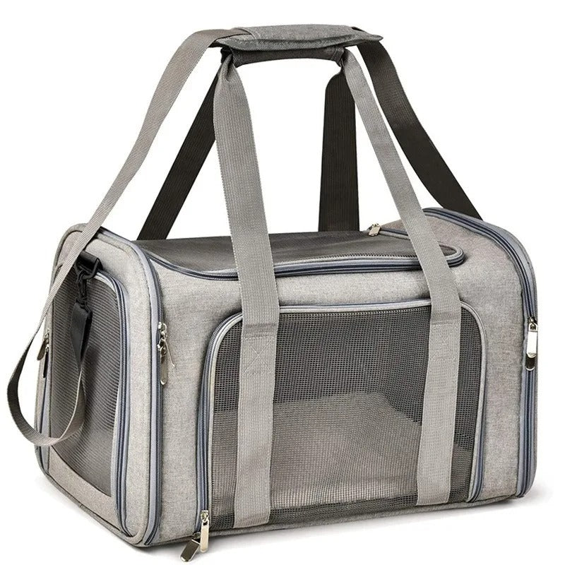 PawMotion Pet Travel Carrier