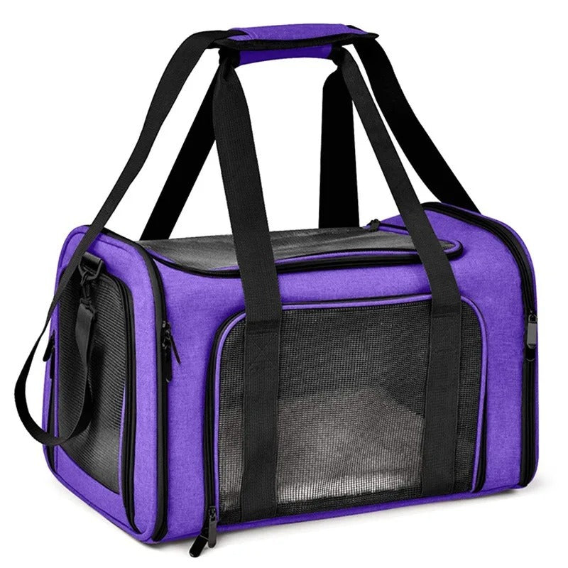 PawMotion Pet Travel Carrier