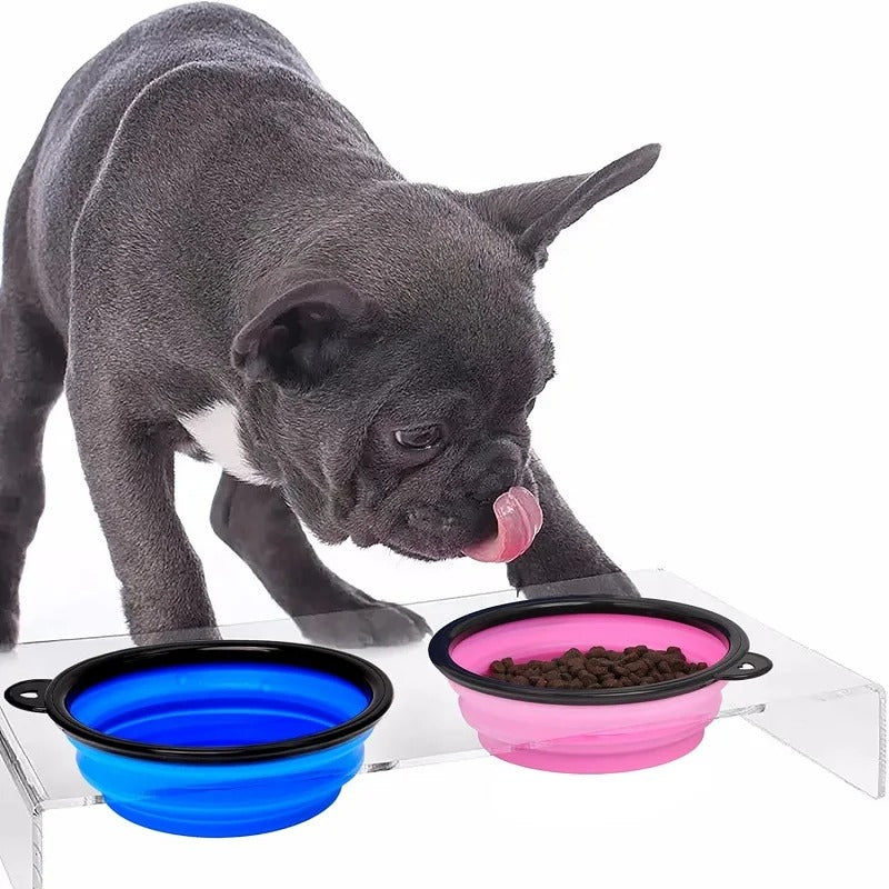 PawMotion Foldable Travel Bowl