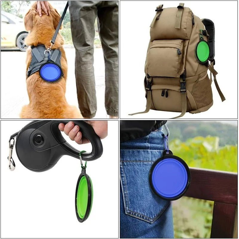PawMotion Foldable Travel Bowl