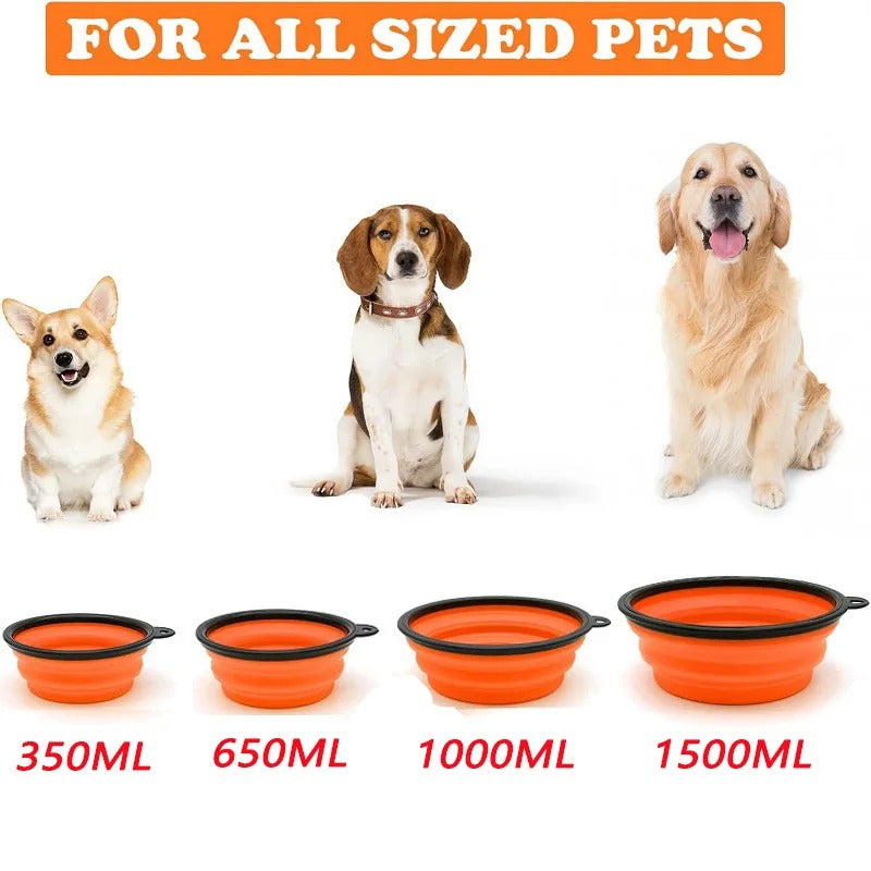 PawMotion Foldable Travel Bowl