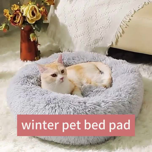 PawMotion Calming Donut Bed