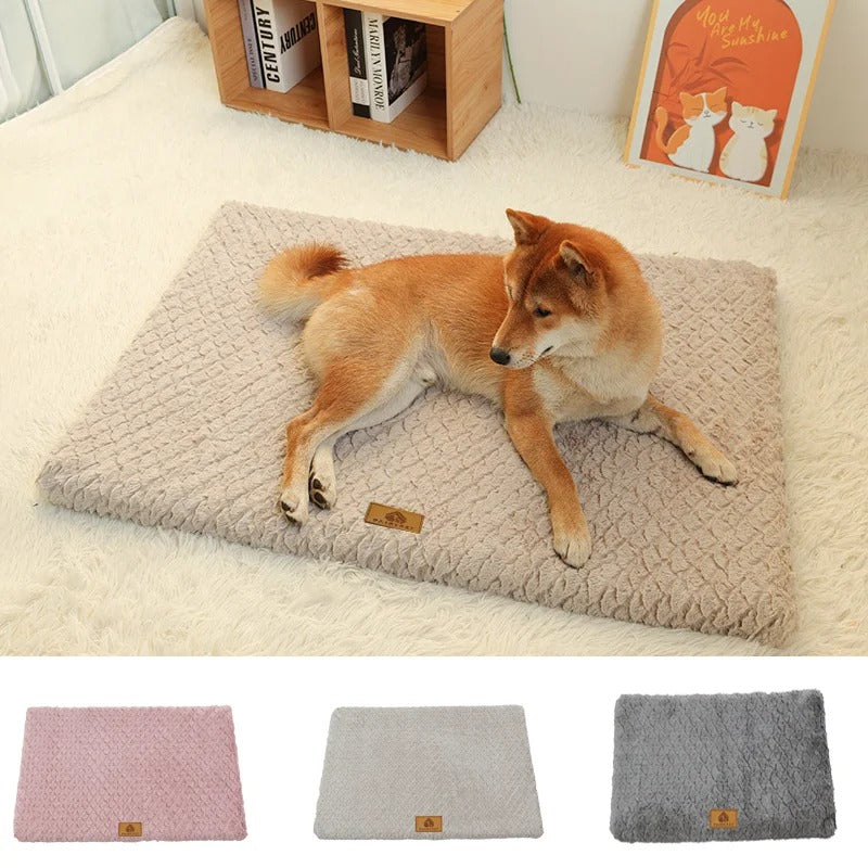 PawMotion Orthopedic Dog Bed