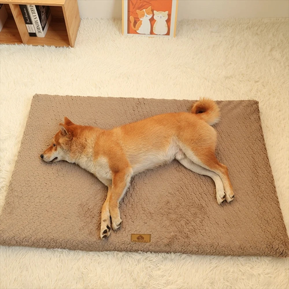 PawMotion Orthopedic Dog Bed